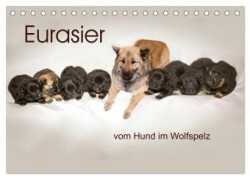 Eurasier, der Hund im Wolfspelz (Tischkalender 2024 DIN A5 quer), CALVENDO Monatskalender
