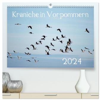Kraniche in Vorpommern (hochwertiger Premium Wandkalender 2024 DIN A2 quer), Kunstdruck in Hochglanz