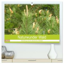 Naturwunder Wald (hochwertiger Premium Wandkalender 2024 DIN A2 quer), Kunstdruck in Hochglanz