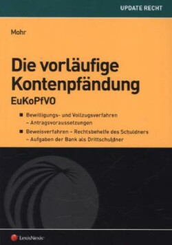 Die vorläufige Kontenpfändung