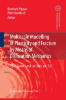 Multiscale Modelling of Plasticity and Fracture by Means of Dislocation Mechanics