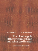 blood supply of the vertebral column and spinal cord in man