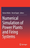 Numerical Simulation of Power Plants and Firing Systems