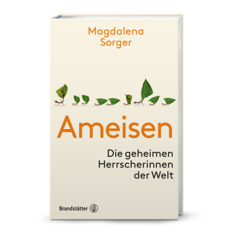 Ameisen