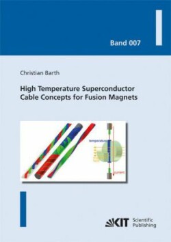 High Temperature Superconductor Cable Concepts for Fusion Magnets