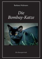 Bombay-Katze