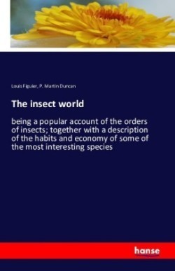 insect world