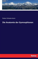 Anatomie der Gymnophionen