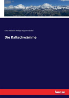 Kalkschwämme