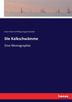 Kalkschwämme