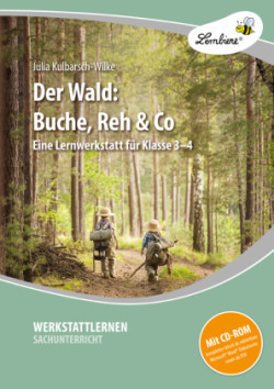 Der Wald: Buche, Reh & Co