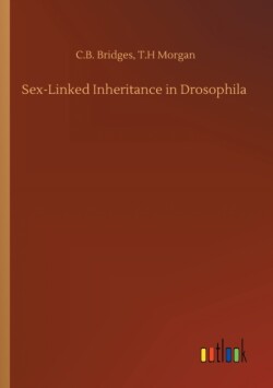 Sex-Linked Inheritance in Drosophila