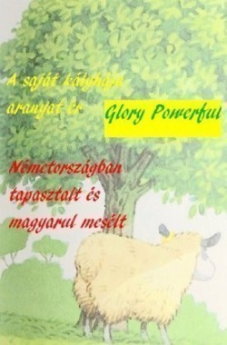 A saját kályhája aranyat ér Németországban tapasztalt és magyarul mesélt