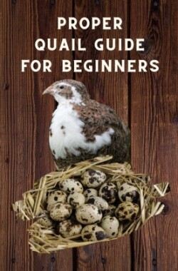 Proper Quail Guide for Beginners