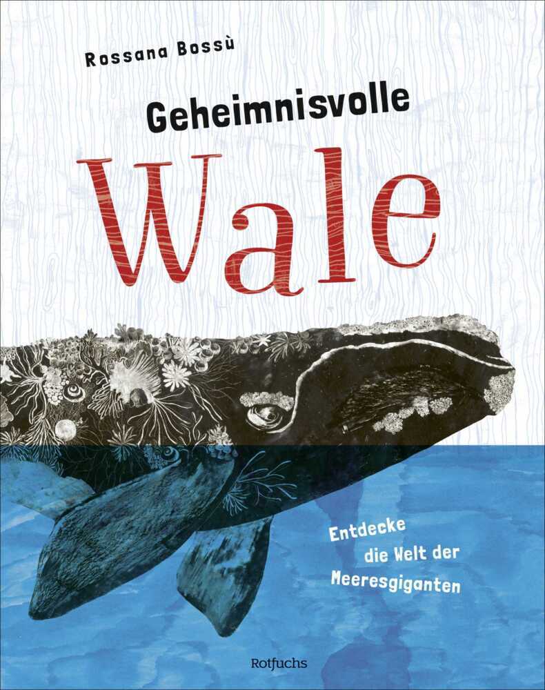 Geheimnisvolle Wale - Entdecke die Welt der Meeresgiganten