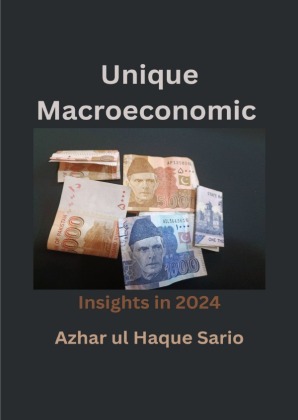 Unique Macroeconomic Insights in 2024