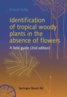 Identification of tropical woody plants in the absence of flowers