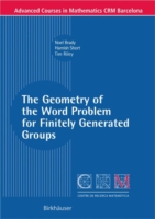 Geometry of the Word Problem for Finitely Generated Groups