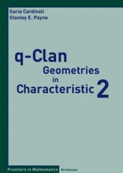 q-Clan Geometries in Characteristic 2