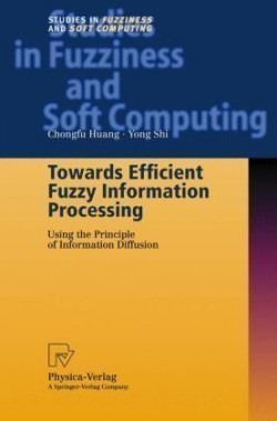 Towards Efficient Fuzzy Information Processing