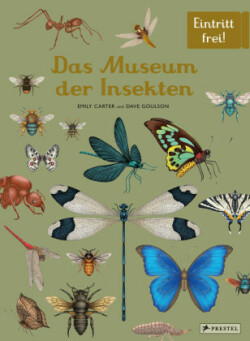 Das Museum der Insekten