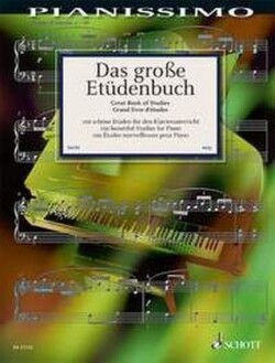 Grosse Etudenbuch (100 Etudes)