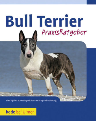 Bull Terrier