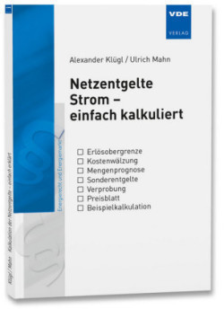 Netzentgelte Strom - einfach kalkuliert