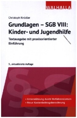 Grundlagen - SGB VIII: Kinder- und Jugendhilfe