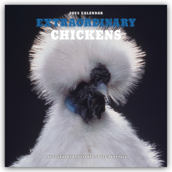 Extraordinary Chickens - Außergewöhnliche Hühner 2025 - Wandkalender