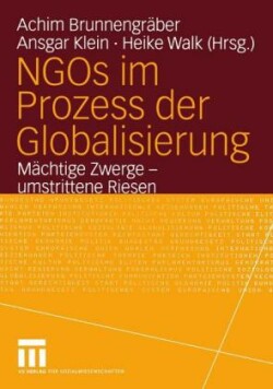 NGOs im Prozess der Globalisierung