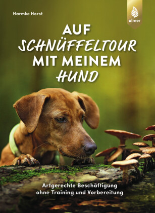 Auf Schnüffeltour mit meinem Hund