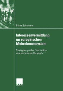 Interessenvermittlung im europäischen Mehrebenensystem