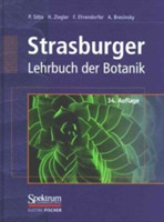 Strasburger - Lehrbuch der Botanik fur Hochschulen