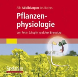 Pflanzenphysiologie, 1 CD-ROM