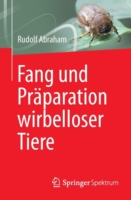 Fang und Präparation wirbelloser Tiere