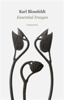 Karl Blossfeldt - Essential Images