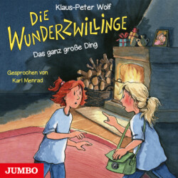 Die Wunderzwillinge. Das ganz große Ding, Audio-CD