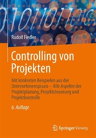 Controlling von Projekten