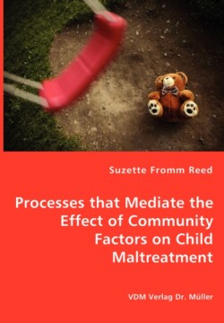 Processes that Mediate the Effect of Community Factors on Child Maltreatment