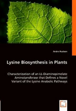 Lysine Biosynthesis in Plants