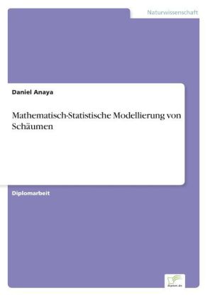 Mathematisch-Statistische Modellierung von Schäumen