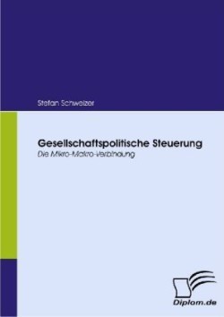 Gesellschaftspolitische Steuerung