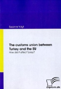customs union between Turkey and the EU