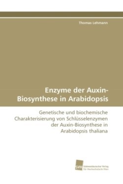 Enzyme der Auxin-Biosynthese in Arabidopsis
