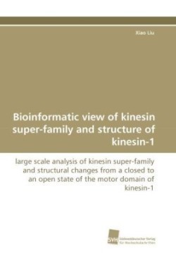 Bioinformatic View of Kinesin Super-Family and Structure of Kinesin-1