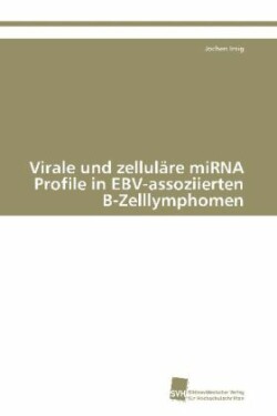 Virale und zelluläre miRNA Profile in EBV-assoziierten B-Zelllymphomen