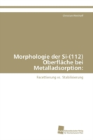 Morphologie der Si-(112) Oberfläche bei Metalladsorption