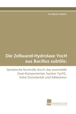 Zellwand-Hydrolase Yoch Aus Bacillus Subtilis