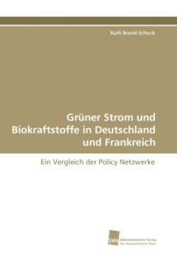 Gruner Strom Und Biokraftstoffe in Deutschland Und Frankreich